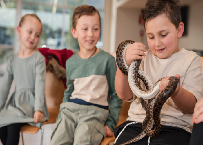 Reptile Show Adelaide