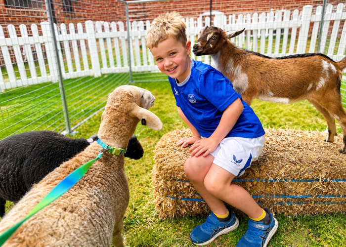 Animal Farm Melbourne